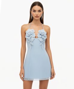 Flower Embroidered Mini Dress - Blue